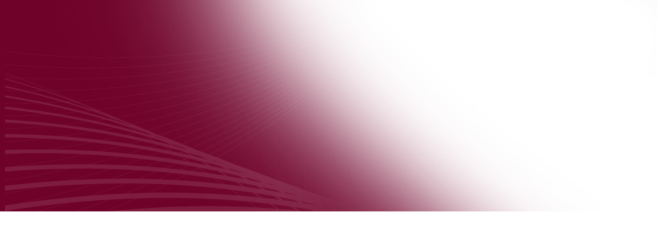 BSI_Slide.png